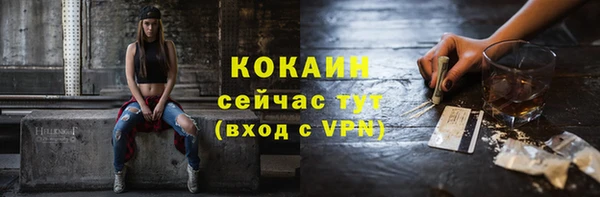 Альфа ПВП Богородск