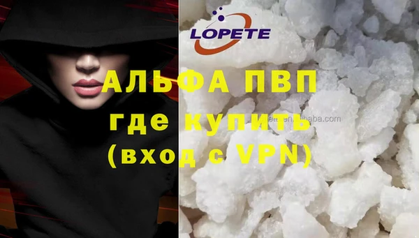спиды Богородицк