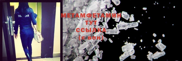 ПСИЛОЦИБИНОВЫЕ ГРИБЫ Богданович