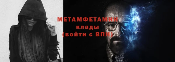 ПСИЛОЦИБИНОВЫЕ ГРИБЫ Богданович