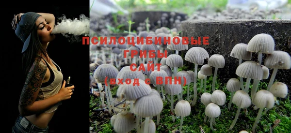 спиды Богородицк