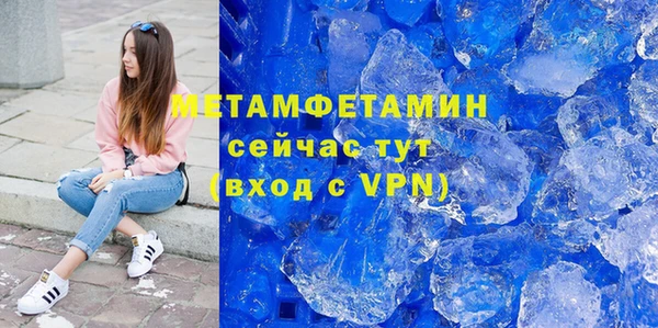 ПСИЛОЦИБИНОВЫЕ ГРИБЫ Богданович