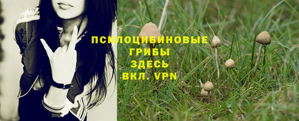 ПСИЛОЦИБИНОВЫЕ ГРИБЫ Богданович