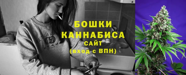 спиды Богородицк