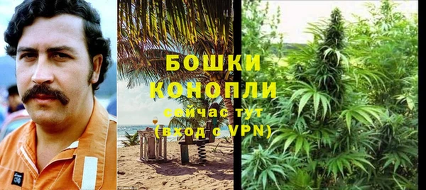 ПСИЛОЦИБИНОВЫЕ ГРИБЫ Богданович