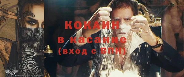 спиды Богородицк