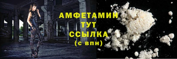 ПСИЛОЦИБИНОВЫЕ ГРИБЫ Богданович