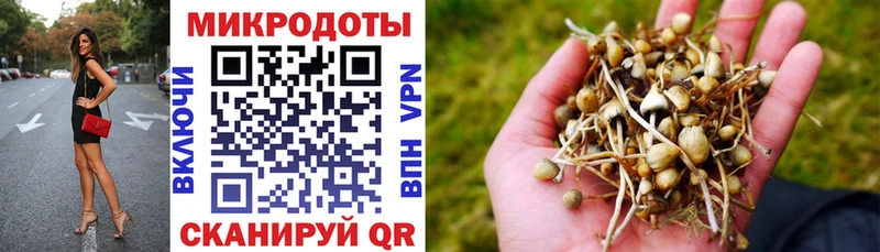 купить наркотики цена  Крым  Псилоцибиновые грибы Cubensis 